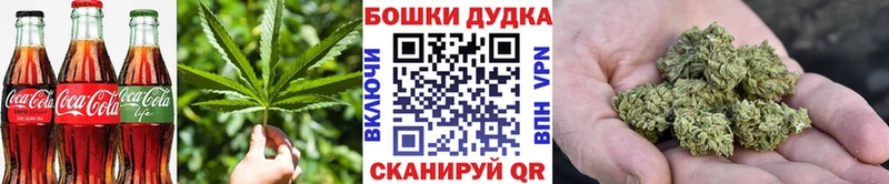 Купить где  Малоархангельск  Cannafood конопля 