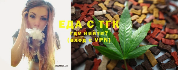 гашик Дмитриев