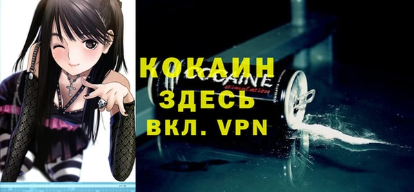 гашик Дмитриев