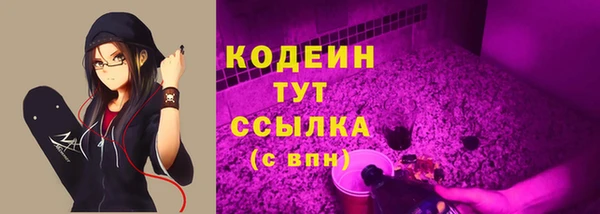 гашик Дмитриев
