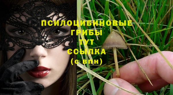 СК Дмитров