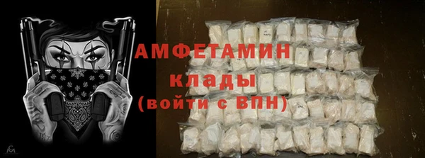 СК Дмитров
