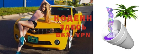 гашик Дмитриев