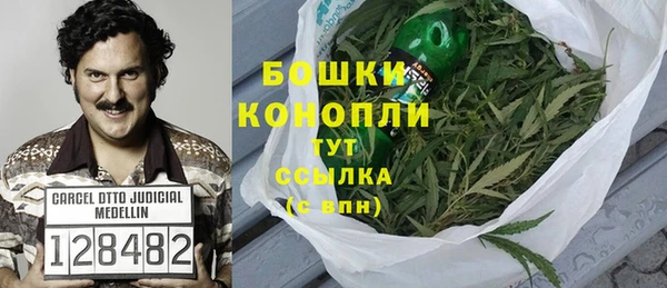 СК Дмитров