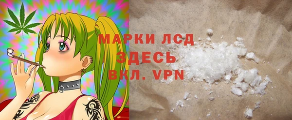 гашик Дмитриев