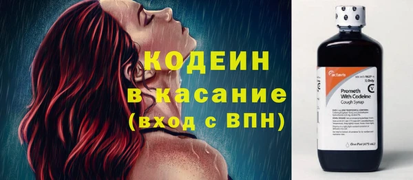 СК Дмитров